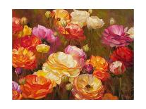 Ranunculus Garden-Emma Styles-Framed Art Print