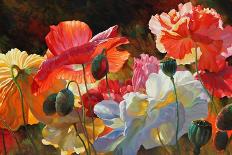 Ranunculus Garden-Emma Styles-Art Print