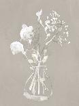 Soft Bouquet - Display-Emma Violet-Giclee Print