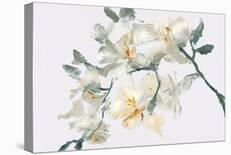 Wild Orchid - Bloom-Emma Violet-Stretched Canvas