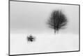 Premium Photographic Print