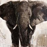 Elephant-Emmanual Michel-Mounted Art Print