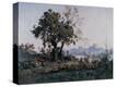 Stretched Canvas Print
