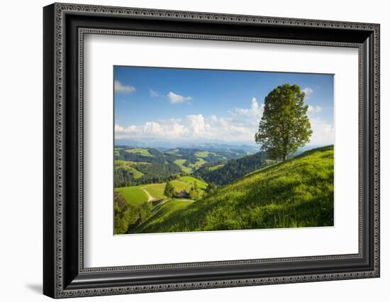 Emmental Valley, Berner Oberland, Switzerland-Jon Arnold-Framed Photographic Print