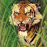 "Snarling Tiger," April 19, 1941-Emmett Watson-Giclee Print