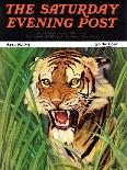 "Snarling Tiger," April 19, 1941-Emmett Watson-Framed Giclee Print