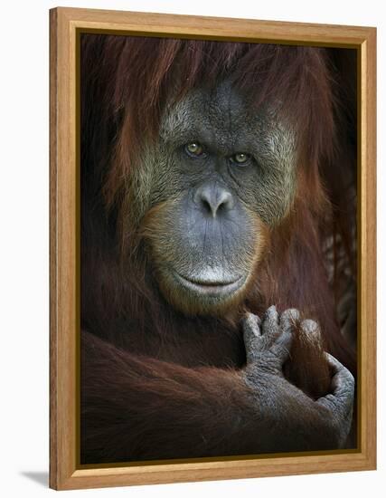 Emotion-SD Smart-Framed Premier Image Canvas