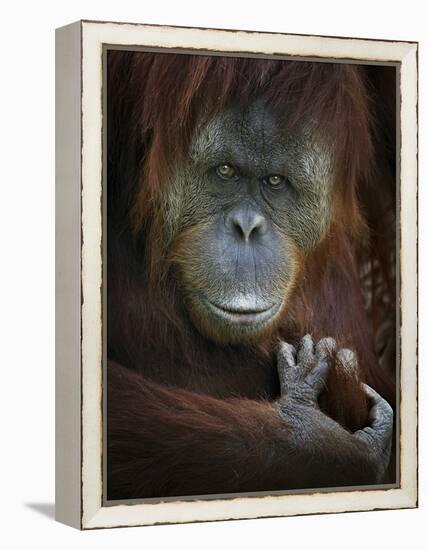 Emotion-SD Smart-Framed Premier Image Canvas