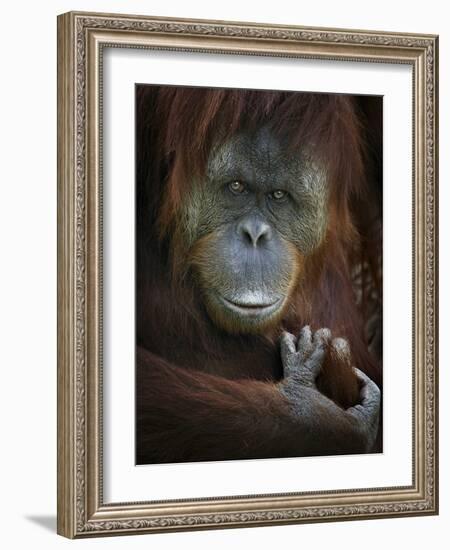 Emotion-SD Smart-Framed Photographic Print