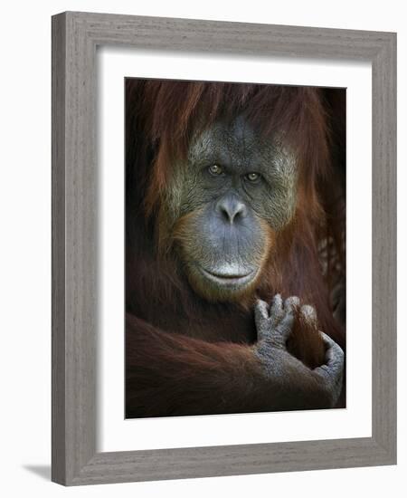 Emotion-SD Smart-Framed Photographic Print