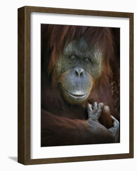 Emotion-SD Smart-Framed Photographic Print