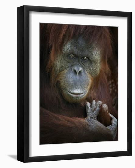 Emotion-SD Smart-Framed Photographic Print