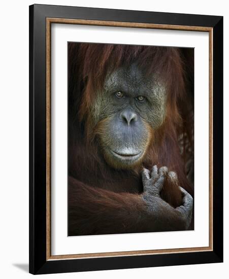 Emotion-SD Smart-Framed Photographic Print