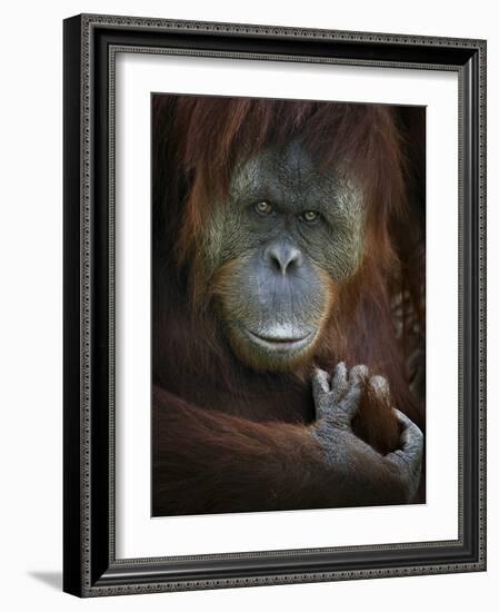 Emotion-SD Smart-Framed Photographic Print