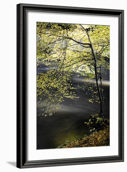 Emotions in Motion-Philippe Sainte-Laudy-Framed Photographic Print