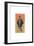 Emperor 2-PC Ngo-Framed Giclee Print