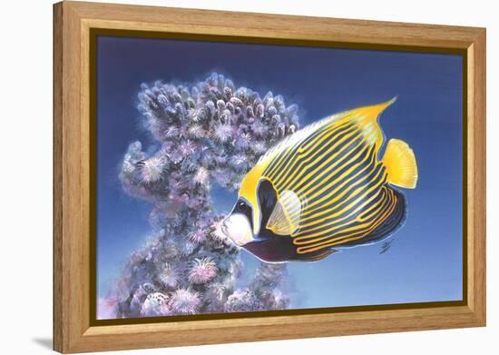 Emperor Angel-Durwood Coffey-Framed Premier Image Canvas