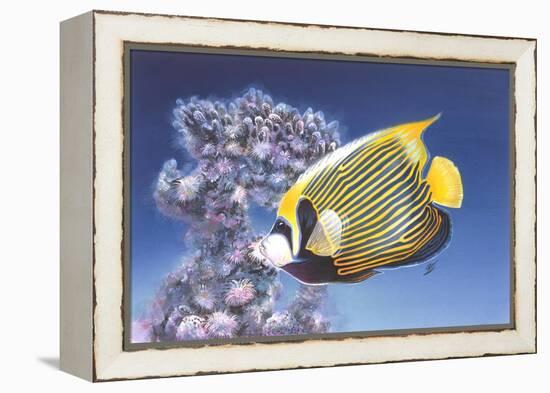 Emperor Angel-Durwood Coffey-Framed Premier Image Canvas