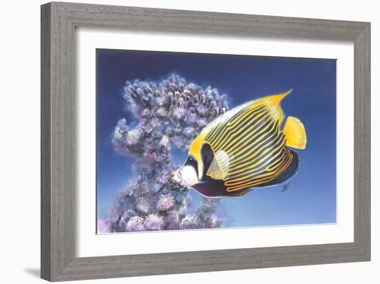 Emperor Angel-Durwood Coffey-Framed Giclee Print