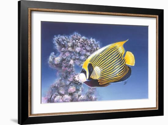 Emperor Angel-Durwood Coffey-Framed Giclee Print