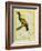 Emperor Bird-Of-Paradise-Georges-Louis Buffon-Framed Giclee Print