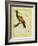 Emperor Bird-Of-Paradise-Georges-Louis Buffon-Framed Giclee Print