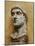 Emperor Constantine the Great (306-337 CE)-null-Mounted Premium Giclee Print