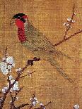 China: Parakeet-Emperor Hui-tsung-Giclee Print