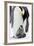 Emperor Penguin, Adult with Young-null-Framed Photographic Print