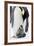 Emperor Penguin, Adult with Young-null-Framed Photographic Print