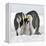 Emperor Penguin Adults with Chick-null-Framed Premier Image Canvas