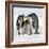 Emperor Penguin Adults with Chick-null-Framed Photographic Print