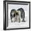 Emperor Penguin Adults with Chick-null-Framed Photographic Print