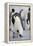 Emperor Penguin and Chick in Antarctica-Paul Souders-Framed Premier Image Canvas