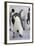 Emperor Penguin and Chick in Antarctica-Paul Souders-Framed Photographic Print