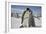 Emperor Penguin and Chick in Antarctica-Paul Souders-Framed Photographic Print