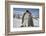 Emperor Penguin and Chick in Antarctica-Paul Souders-Framed Photographic Print