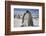 Emperor Penguin and Chick in Antarctica-Paul Souders-Framed Photographic Print