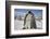 Emperor Penguin and Chick in Antarctica-Paul Souders-Framed Photographic Print