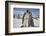 Emperor Penguin and Chick in Antarctica-Paul Souders-Framed Photographic Print