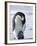 Emperor Penguin (Aptenodytes Forsteri) and Chick, Snow Hill Island, Weddell Sea, Antarctica-Thorsten Milse-Framed Photographic Print