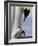 Emperor Penguin (Aptenodytes Forsteri) and Chick, Snow Hill Island, Weddell Sea, Antarctica-Thorsten Milse-Framed Photographic Print