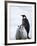 Emperor Penguin (Aptenodytes Forsteri) and Chicks, Snow Hill Island, Weddell Sea, Antarctica-Thorsten Milse-Framed Photographic Print