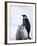 Emperor Penguin (Aptenodytes Forsteri) and Chicks, Snow Hill Island, Weddell Sea, Antarctica-Thorsten Milse-Framed Photographic Print