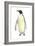 Emperor Penguin (Aptenodytes Forsteri), Birds-Encyclopaedia Britannica-Framed Art Print