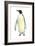 Emperor Penguin (Aptenodytes Forsteri), Birds-Encyclopaedia Britannica-Framed Art Print