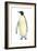 Emperor Penguin (Aptenodytes Forsteri), Birds-Encyclopaedia Britannica-Framed Art Print