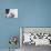 Emperor Penguin (Aptenodytes Forsteri) Chicks on Parents' Feet on Ice, Snow Hill Island, Antarctica-Keren Su-Photographic Print displayed on a wall