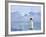 Emperor Penguin (Aptenodytes Forsteri), Snow Hill Island, Weddell Sea, Antarctica, Polar Regions-Thorsten Milse-Framed Photographic Print