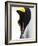 Emperor Penguin (Aptenodytes Forsteri), Snow Hill Island, Weddell Sea, Antarctica, Polar Regions-Thorsten Milse-Framed Photographic Print